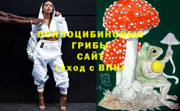 кокаин Алексеевка