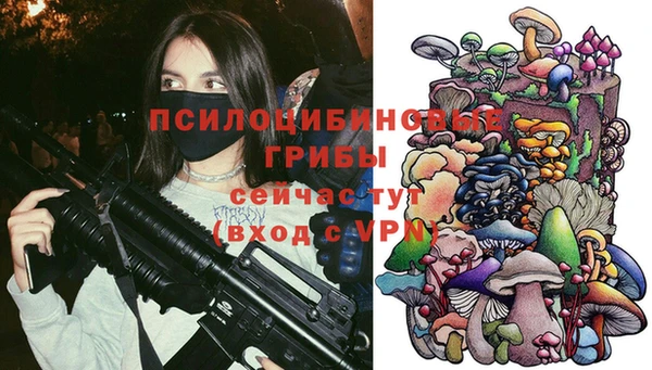 кокаин Алексеевка